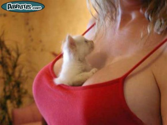 entre seins.jpg